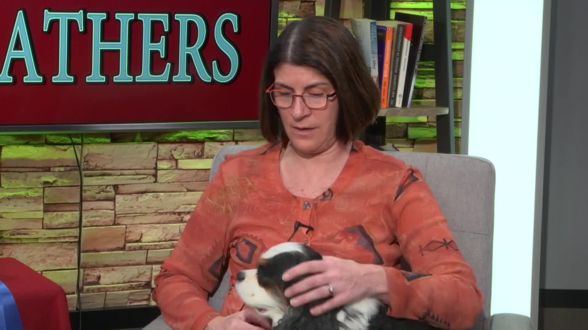 Thumbnail image for Fur, Fins and Feathers: Julie Kenney, President of the Ocean State Agility Club