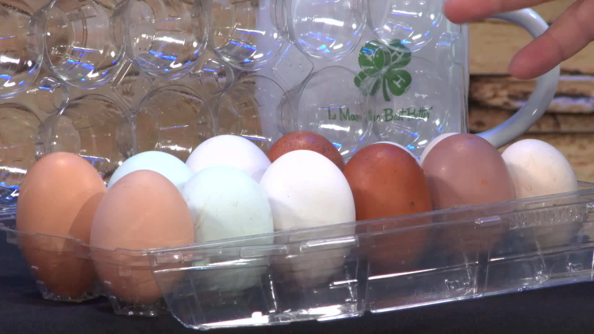 Thumbnail image for Fur, Fins and Feathers: Kim Botelho of K & K Acres. Chicken and Eggs