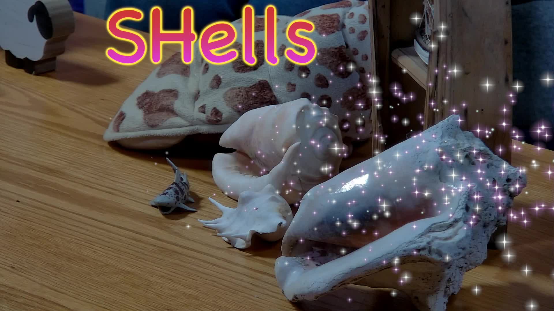 Word Time With Ms Markee - SH Sound