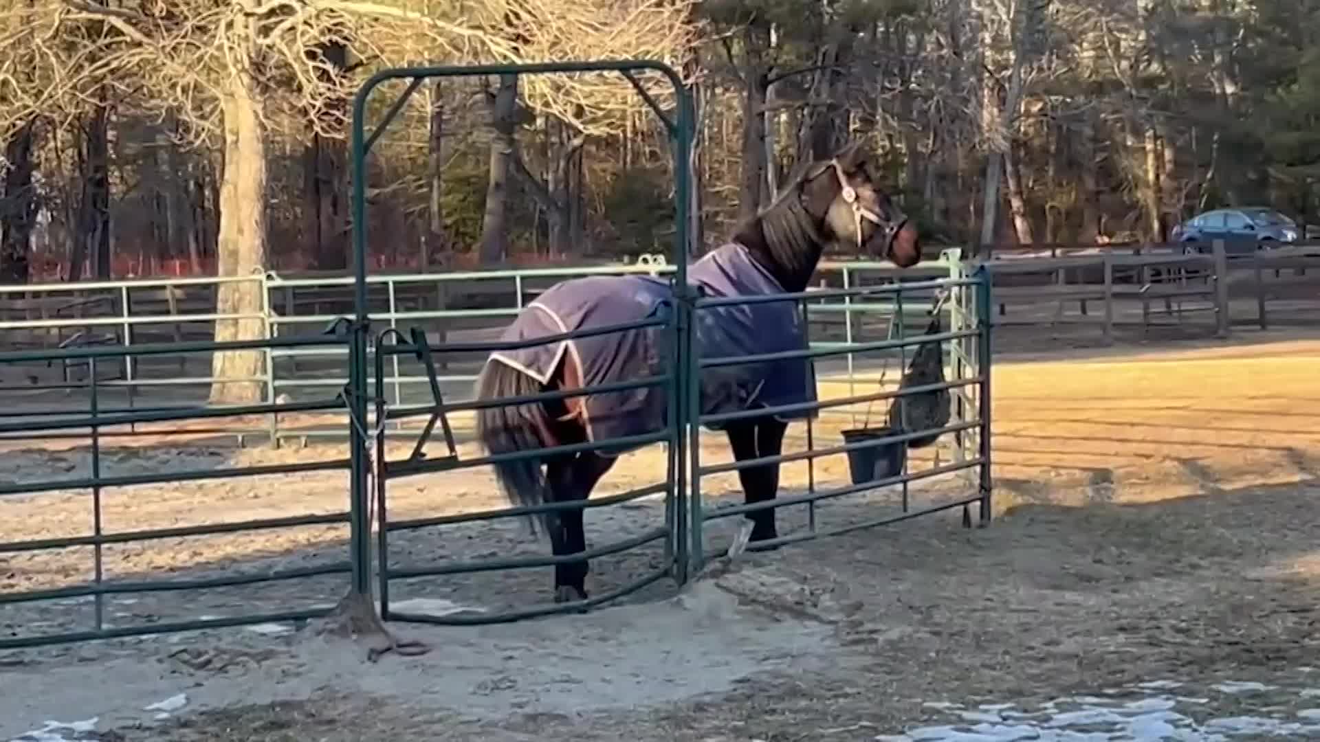 Two Grannies on the Road: Exploring Plympton, Part 3