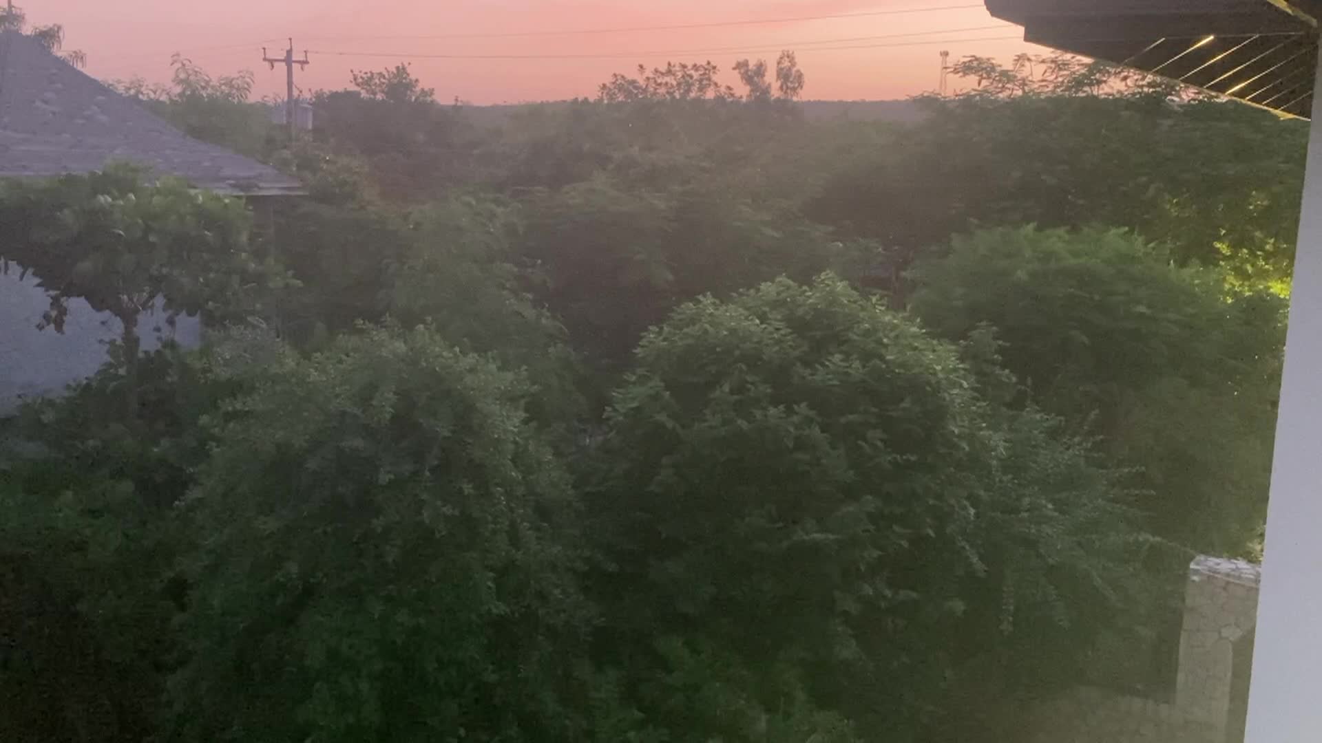  Around the Garden with Jimmy K