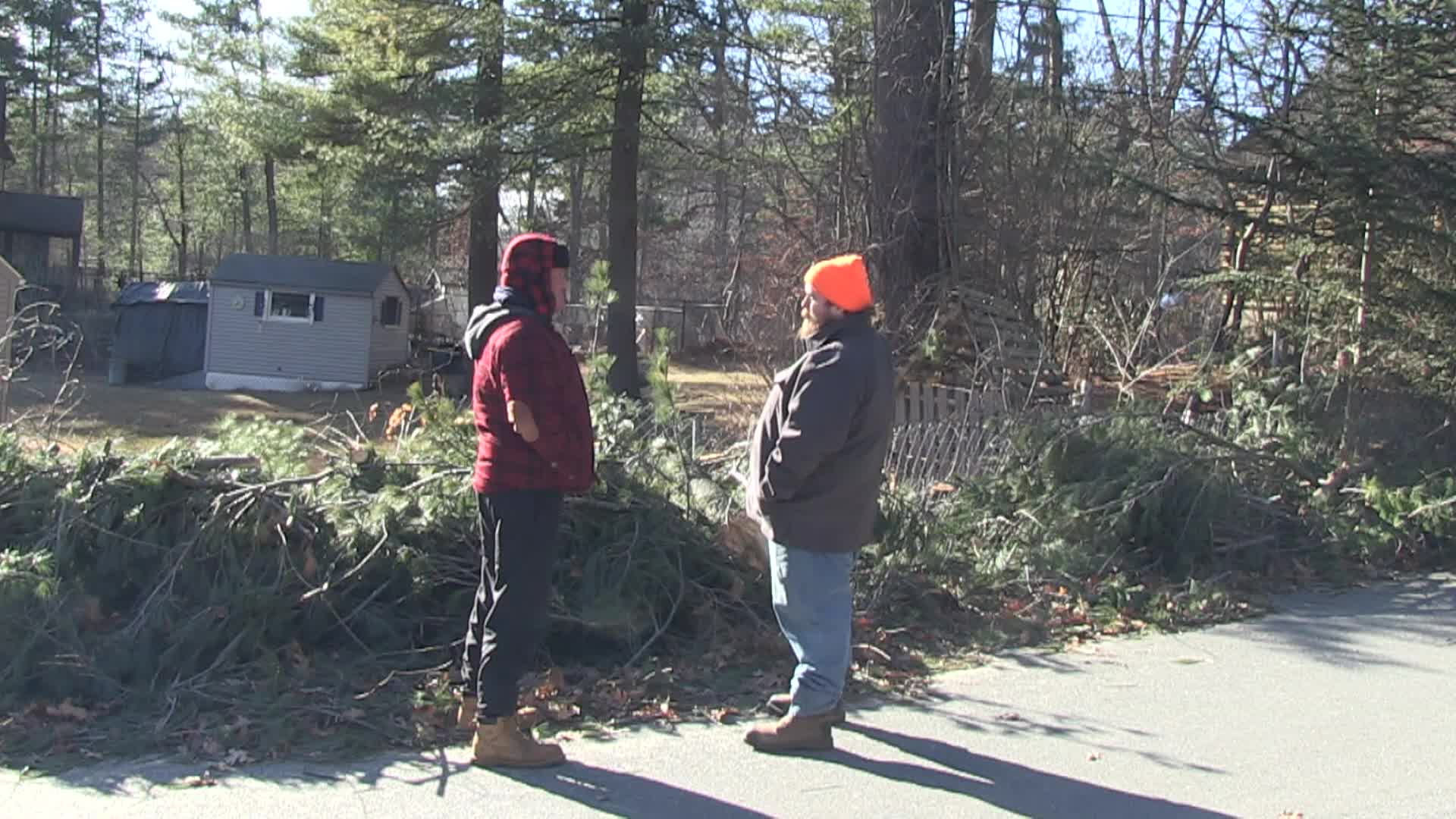  Around the Garden with Jimmy K Tree Cutting and Logging Part 1
