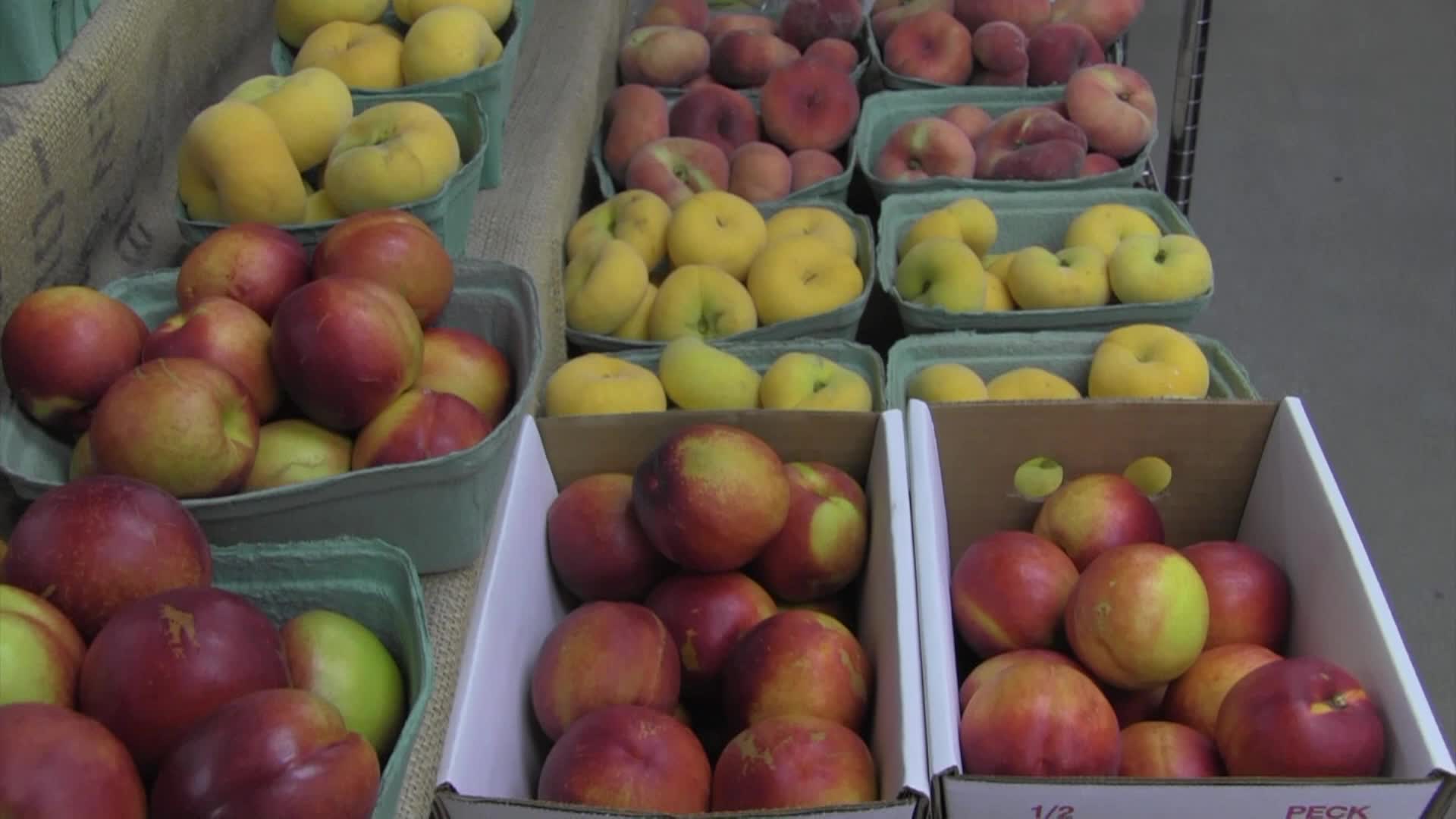 Around the Garden w Jimmy K