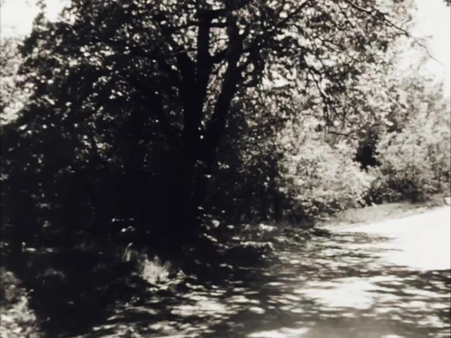 Thumbnail image for ICAM Aberrant Movie: The Red House (1947)