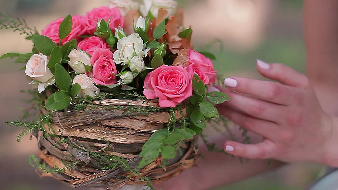 Bongo Boy TV  Music Videos by STUDEO, Monique Grimme, Simonne Draper