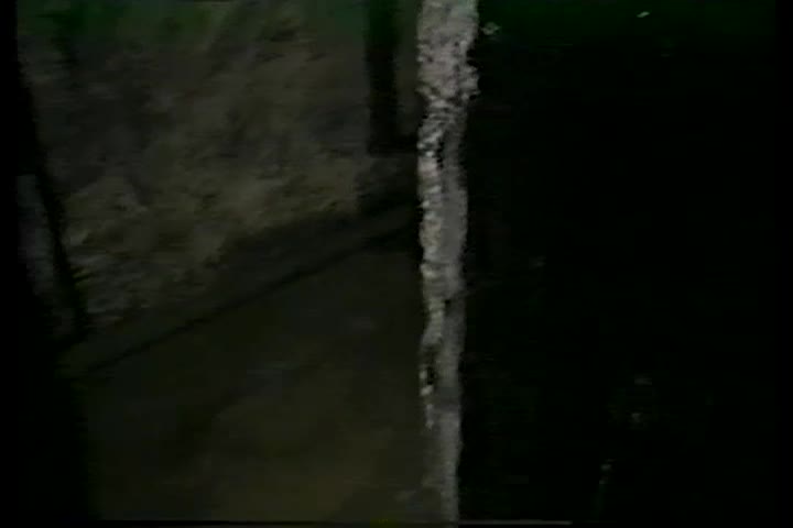 Ghost Stories: My Favorite Tales