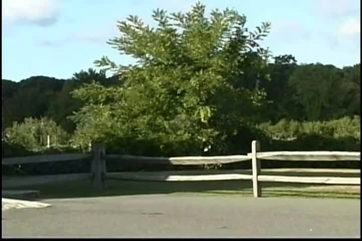 New Englanders: Brooksby Farm