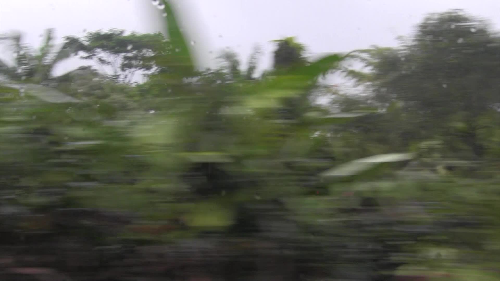 Around the Garden with Jimmy K