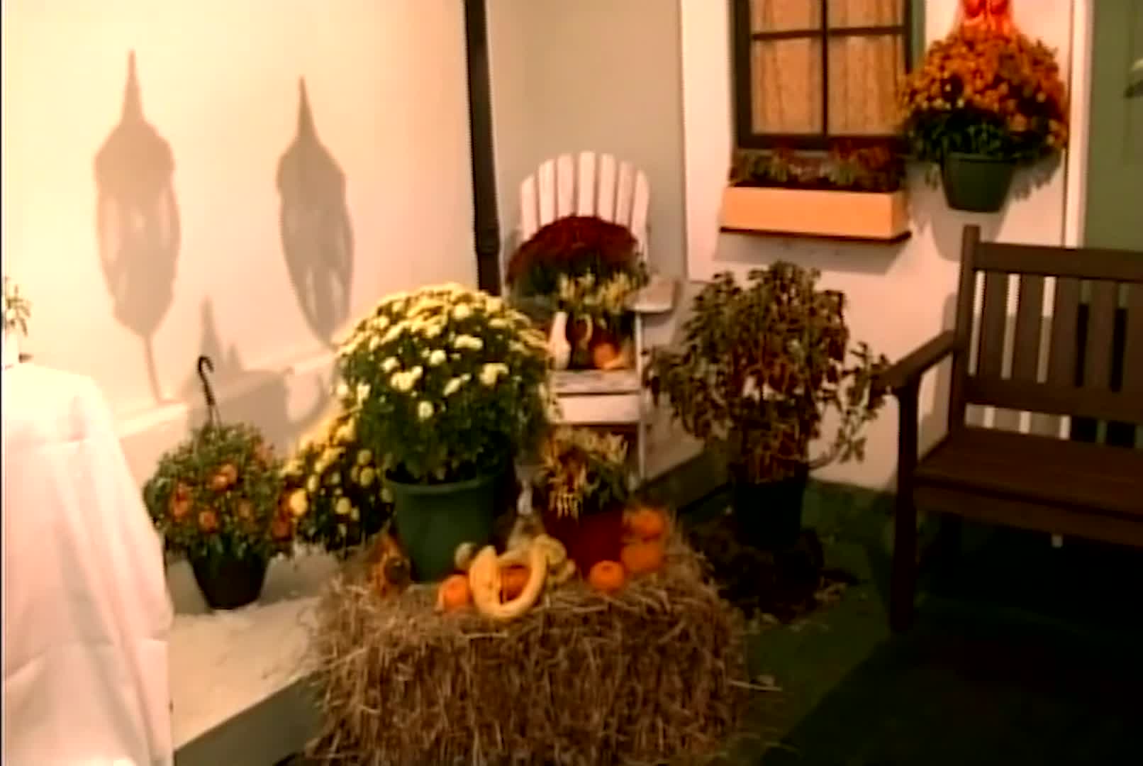 New Englander:  Topsfield Fair 2025 pt 1