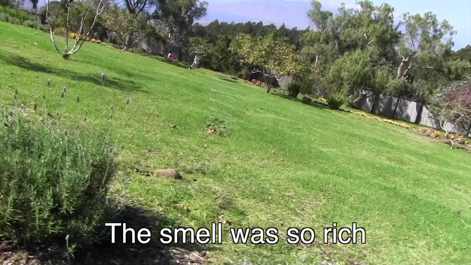 Around the Garden with Jimmy K