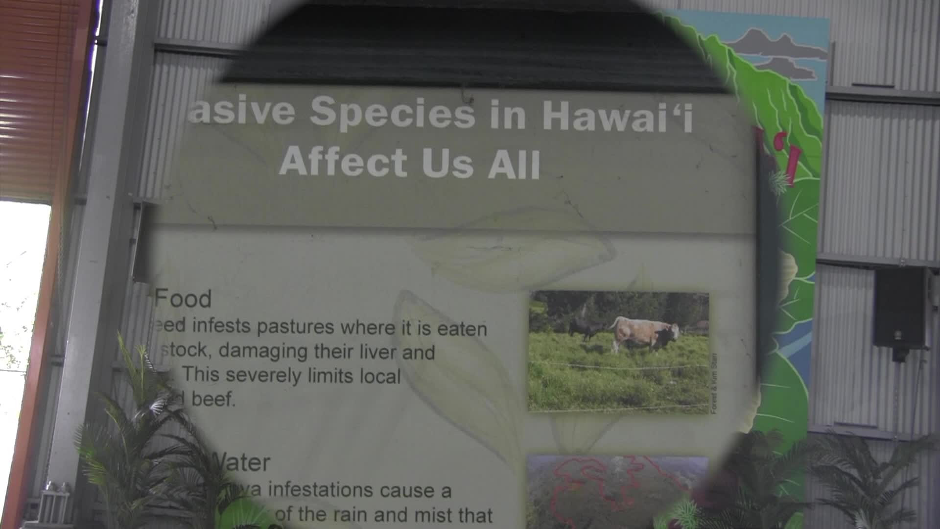 Around the Garden with Jimmy K