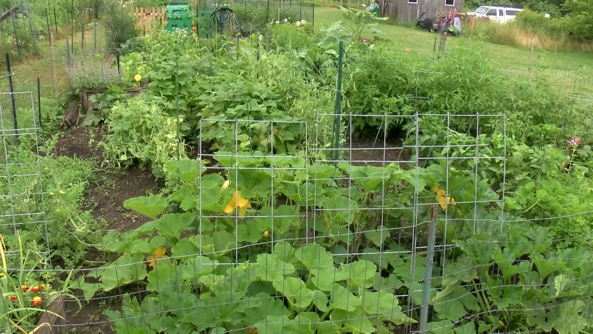 What's Cooking in Town Beef and Oyster Stew