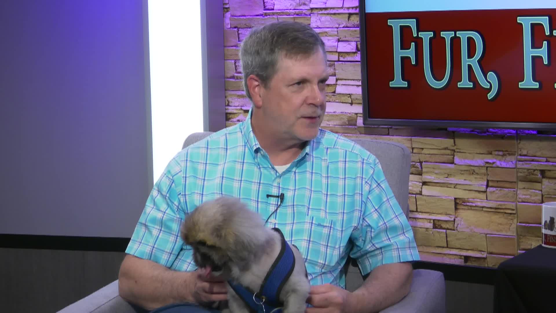Thumbnail image for Fur, Fins and Feathers EP 155
