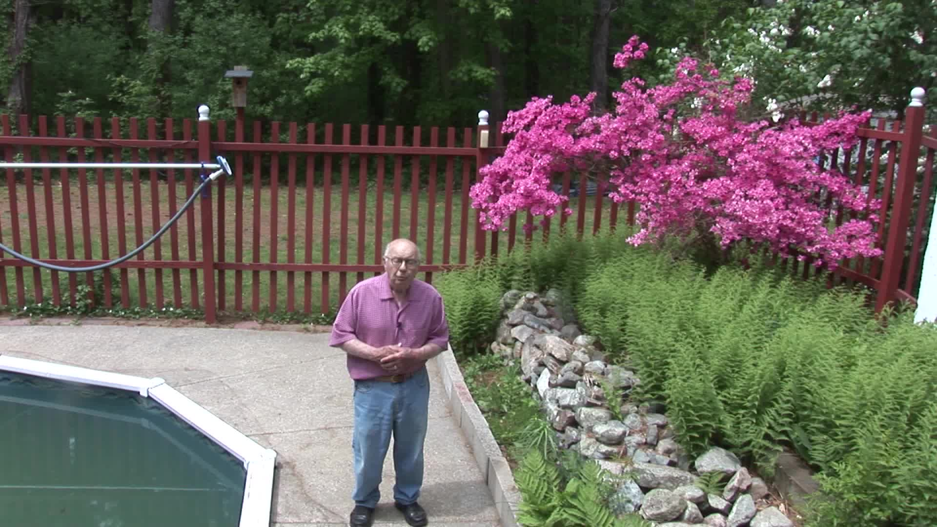 Let's Visit Pixie Talent Show 2