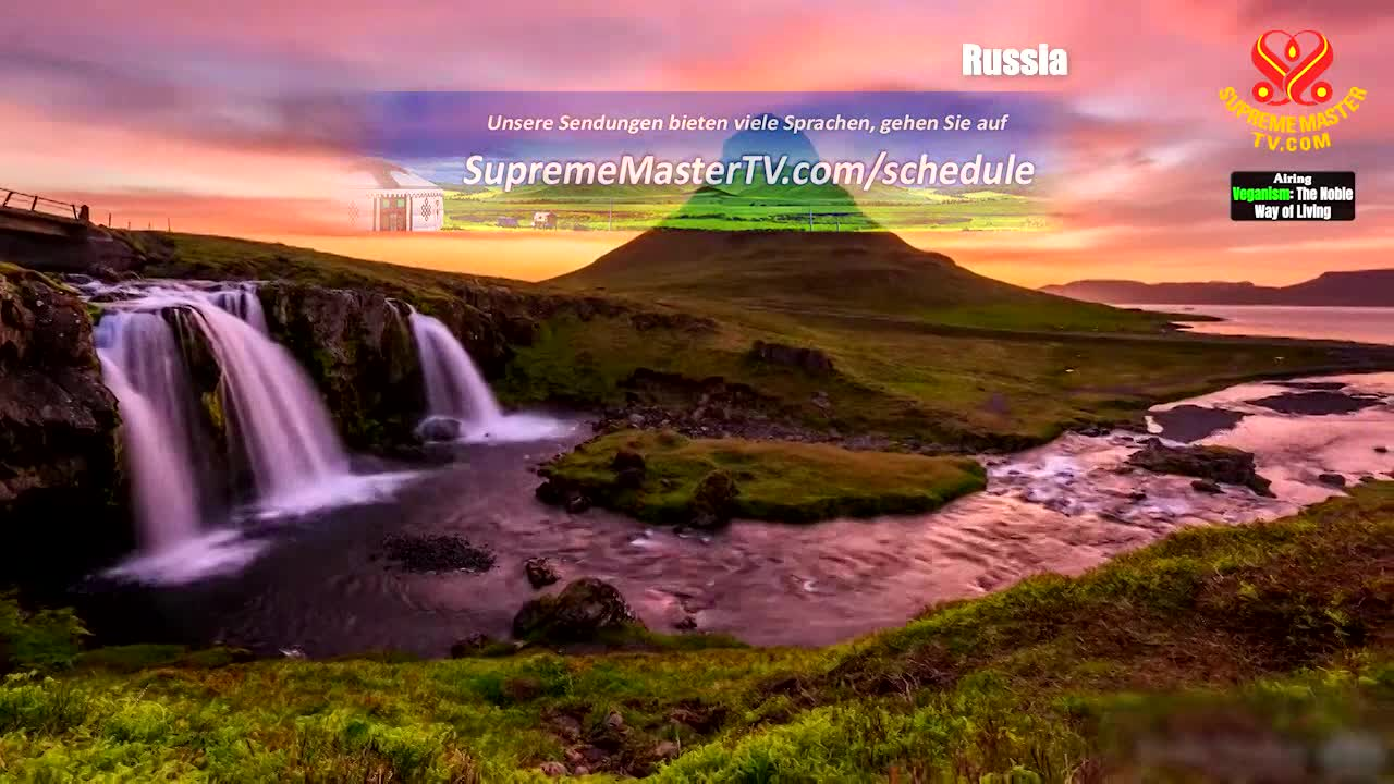 Thumbnail image for Supreme Master TV Nourishing Traditional Mongolian Cooking