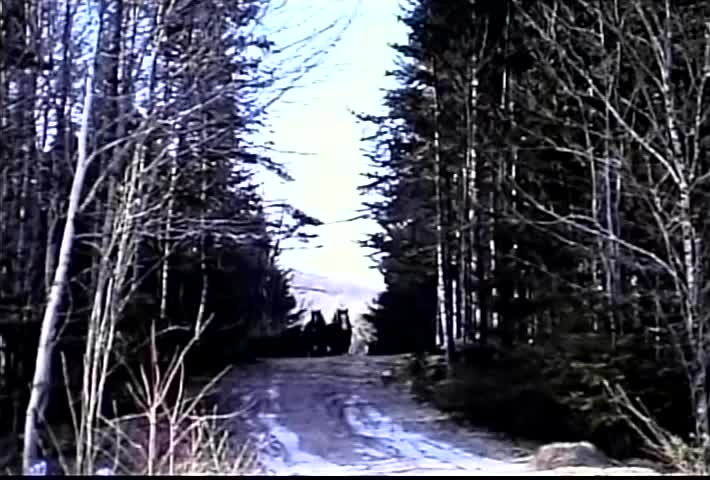 Thumbnail image for New Englanders: Logging Horses