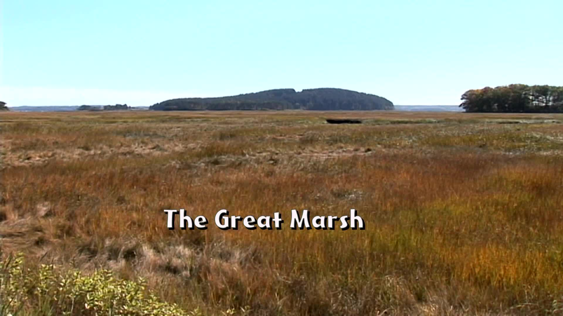 Let's Visit Where Fried Clams Come From