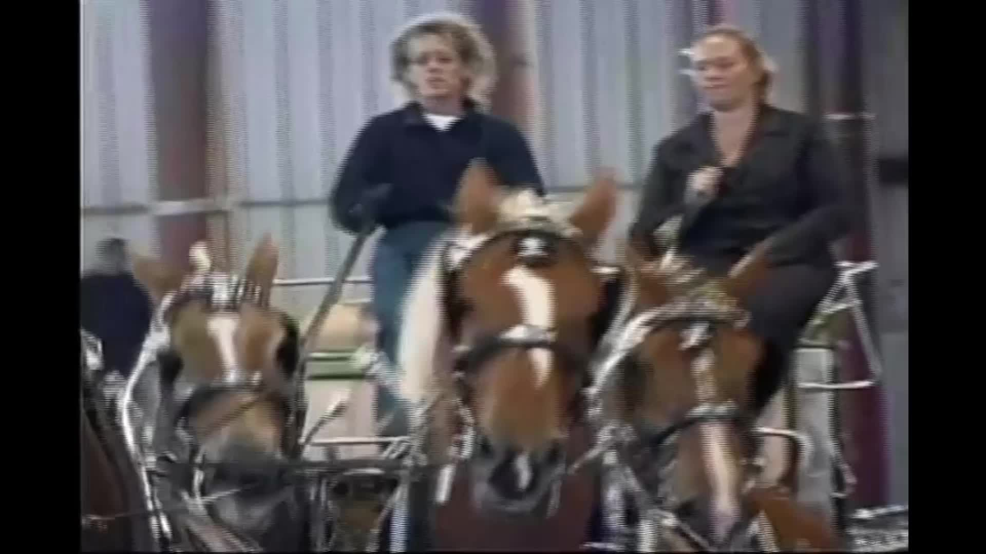 Thumbnail image for The New Englander - Carousel of Horses