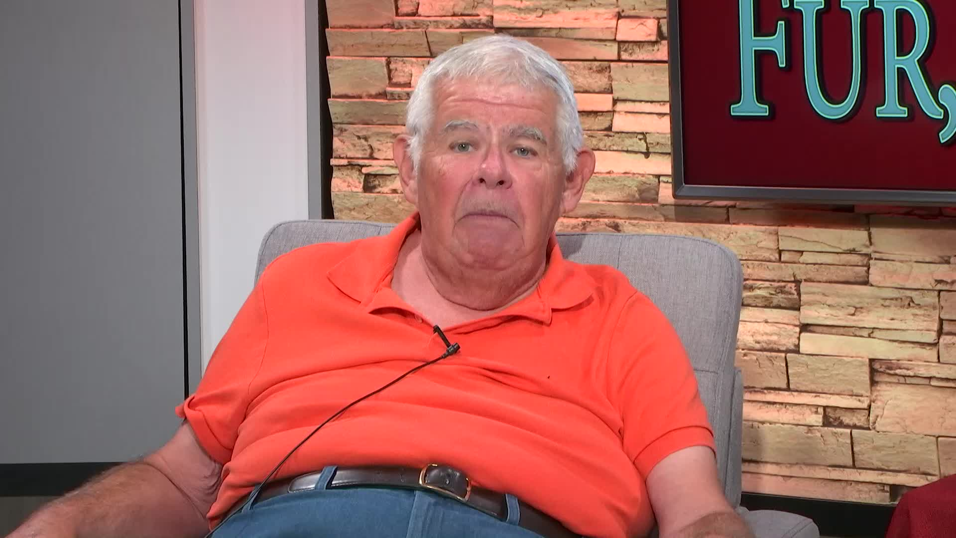 Fur, Fins and Feathers: Gertie, a lovely wire-haired hound that was rescued