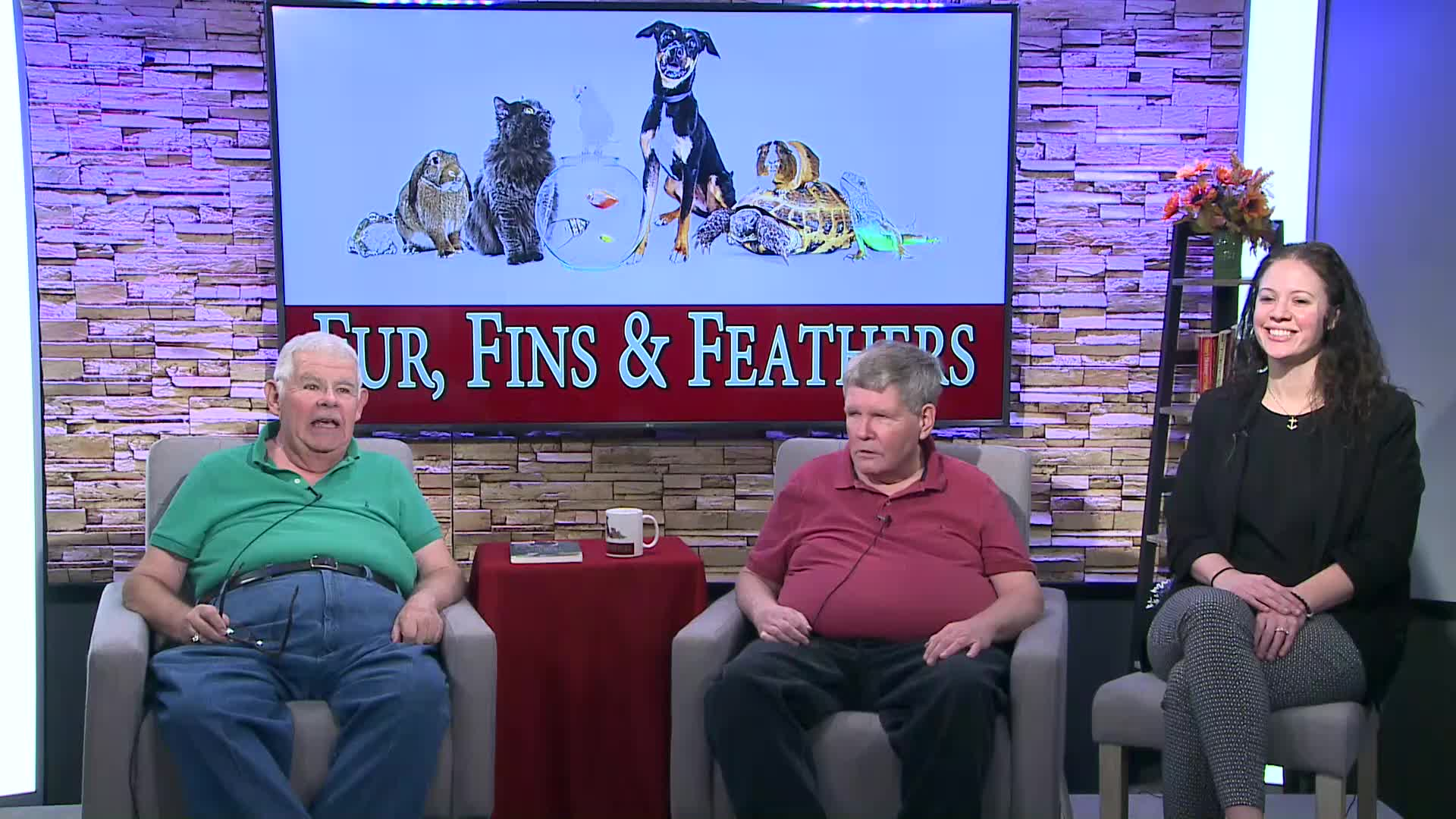 Fur, Fins and Feathers: 100th episode, looking back