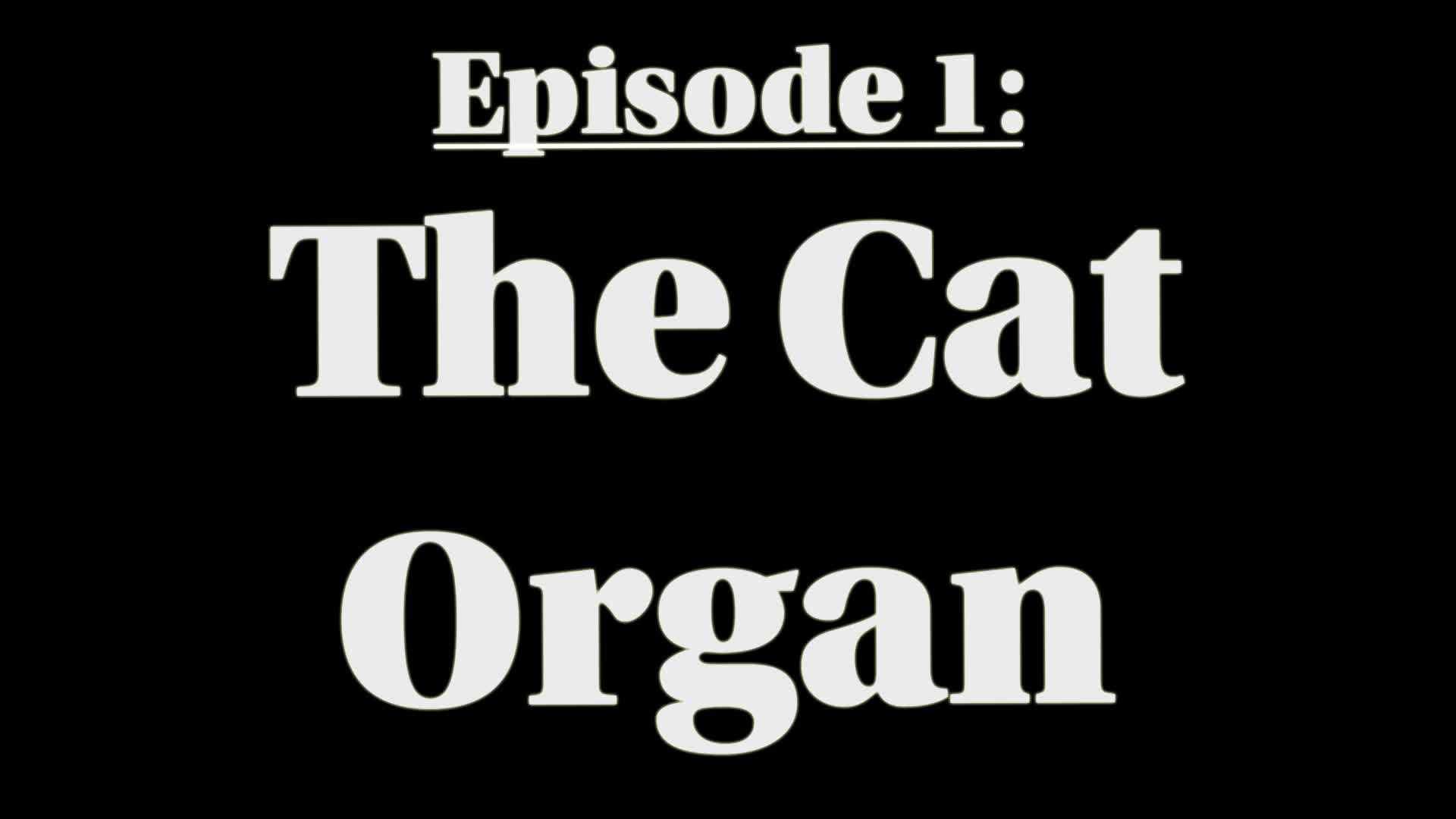 Hallucinating Thru History: The Cat Organ